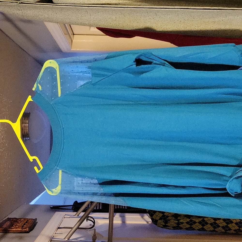 Venus Shear sleeve Top